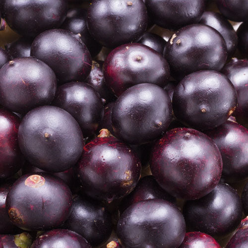 FIXATIV CU GAZ CU FIXARE LEJERA-300 ml