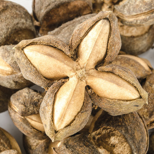 FIXATIV CU GAZ CU FIXARE PUTERNICA - 300 ml