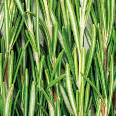 FIOLE ANTICADERE FEMEI SUPER- 12fl x 7ml