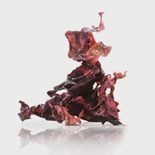 FIOLE ANTISEBUM-12x6ml