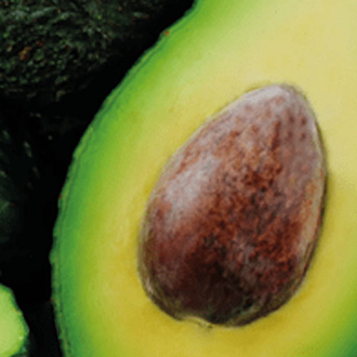 Ulei spray Solarich SPF15-150ml