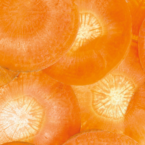 Fiole reconstructie fara clatire Beta Refibre 24x10 ml