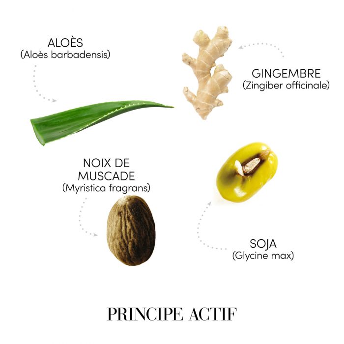 FIOLE ANTISEBUM-12x6ml