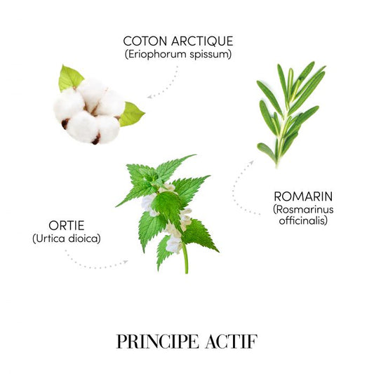 Cremă pentru volum -200ml