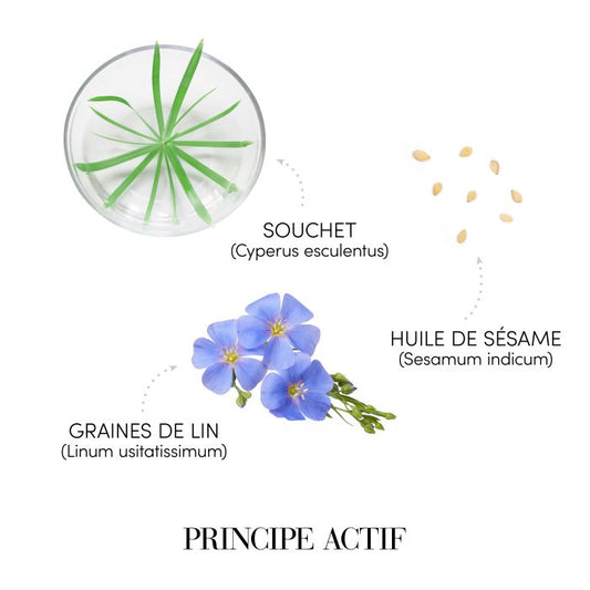 FIOLE PRODIGE PENTRU UMPLERE SI RECONSTRUCTIE -4x15ml