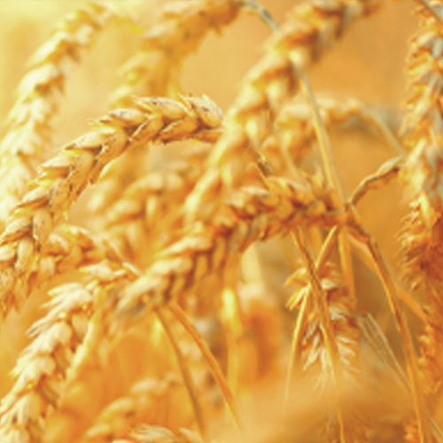 FIOLE DERMORELAX , CALMANTE, SOS- 12x6ml