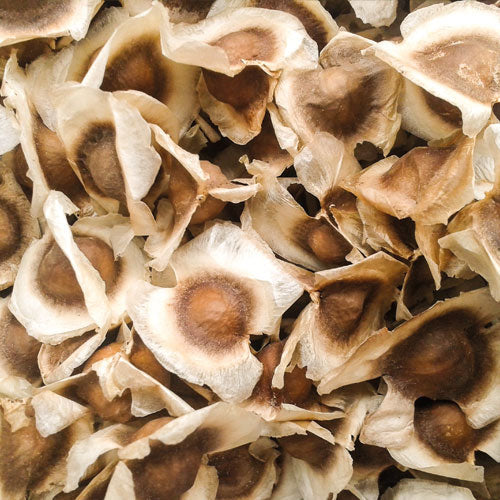 FIXATIV CU GAZ CU FIXARE LEJERA-300 ml